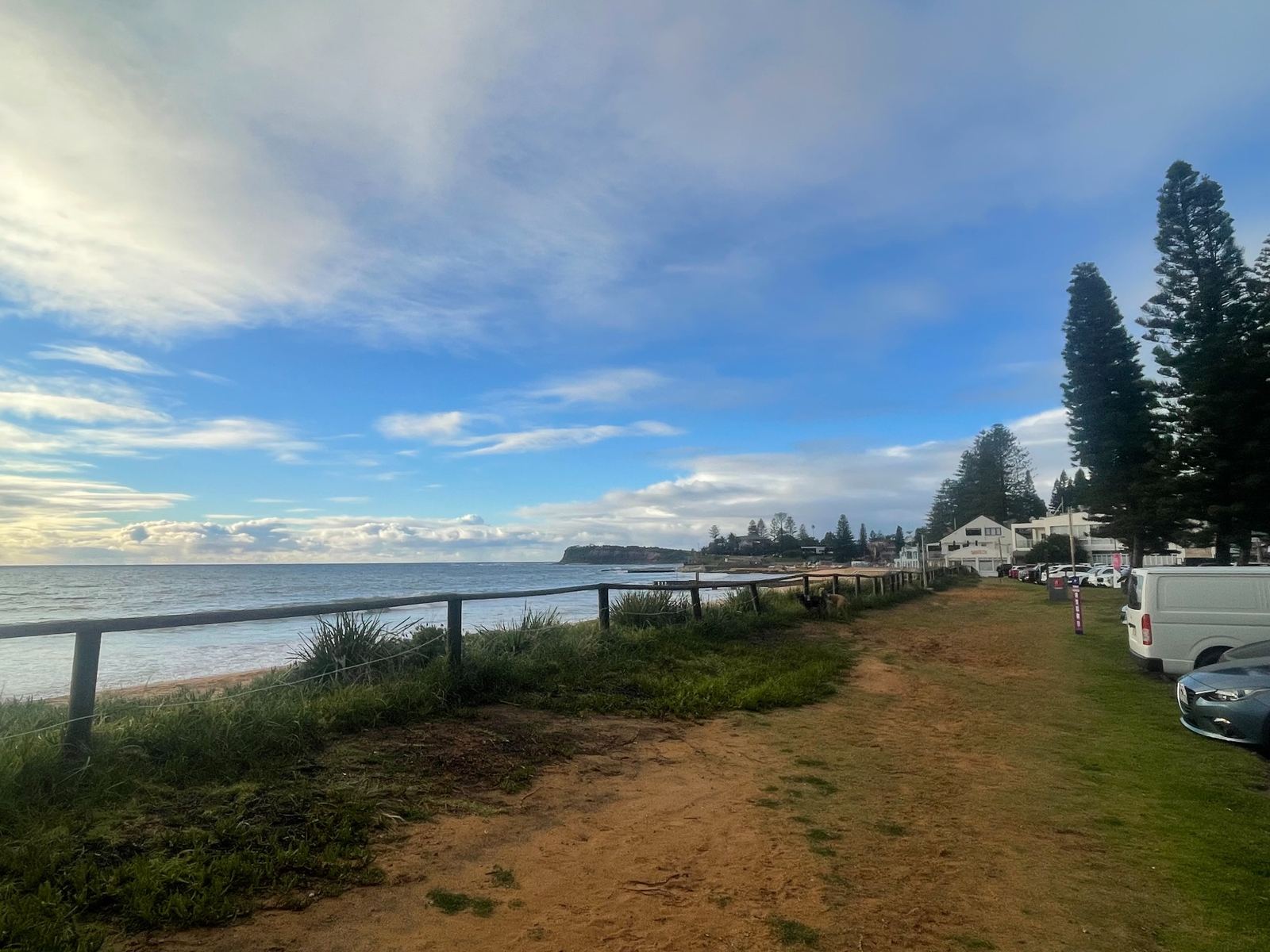 Existing timber and wire boundary at Collaroy Beach